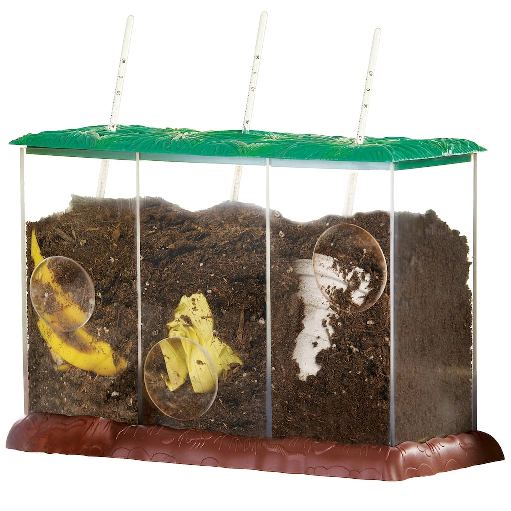 Deals π― Now You See It Now You Don't See - Through Compost Container by EDUCATIONAL INSIGHTS π