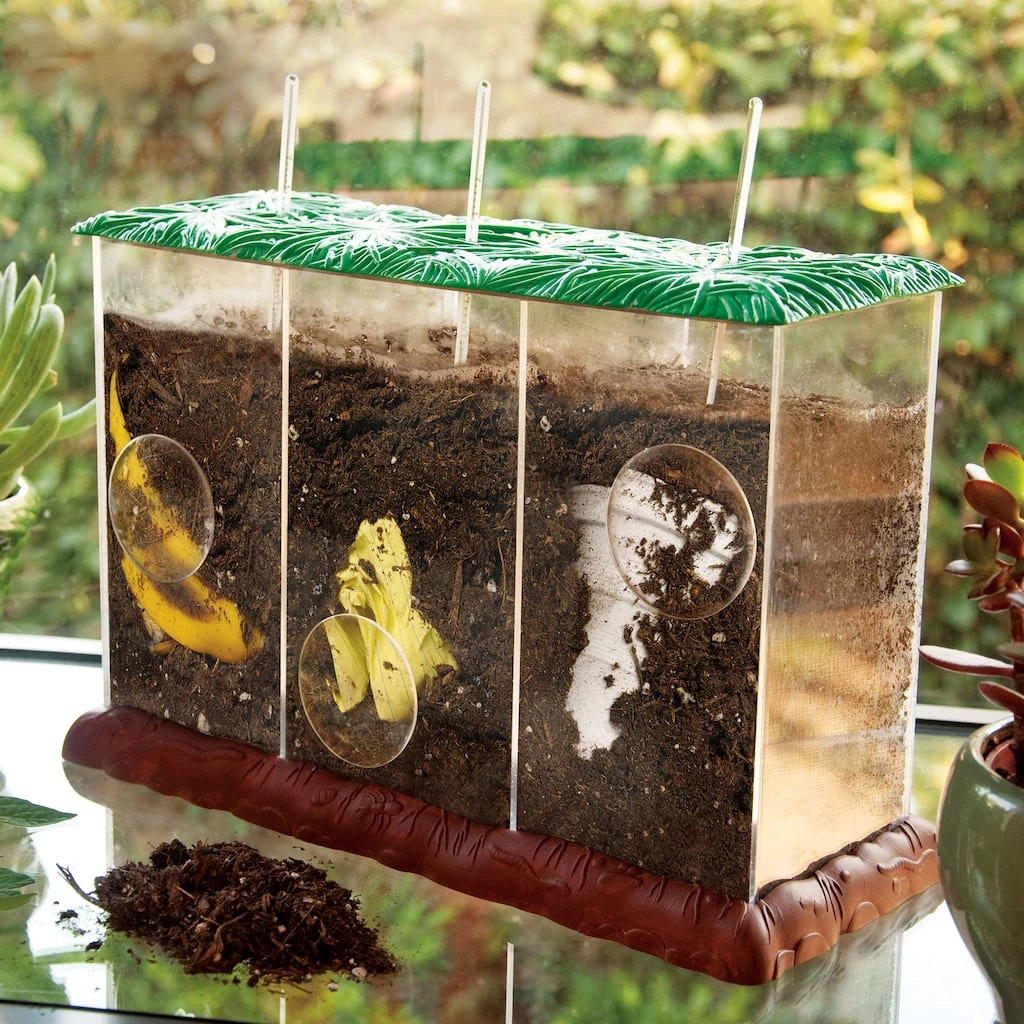 Deals π― Now You See It Now You Don't See - Through Compost Container by EDUCATIONAL INSIGHTS π - Image 2