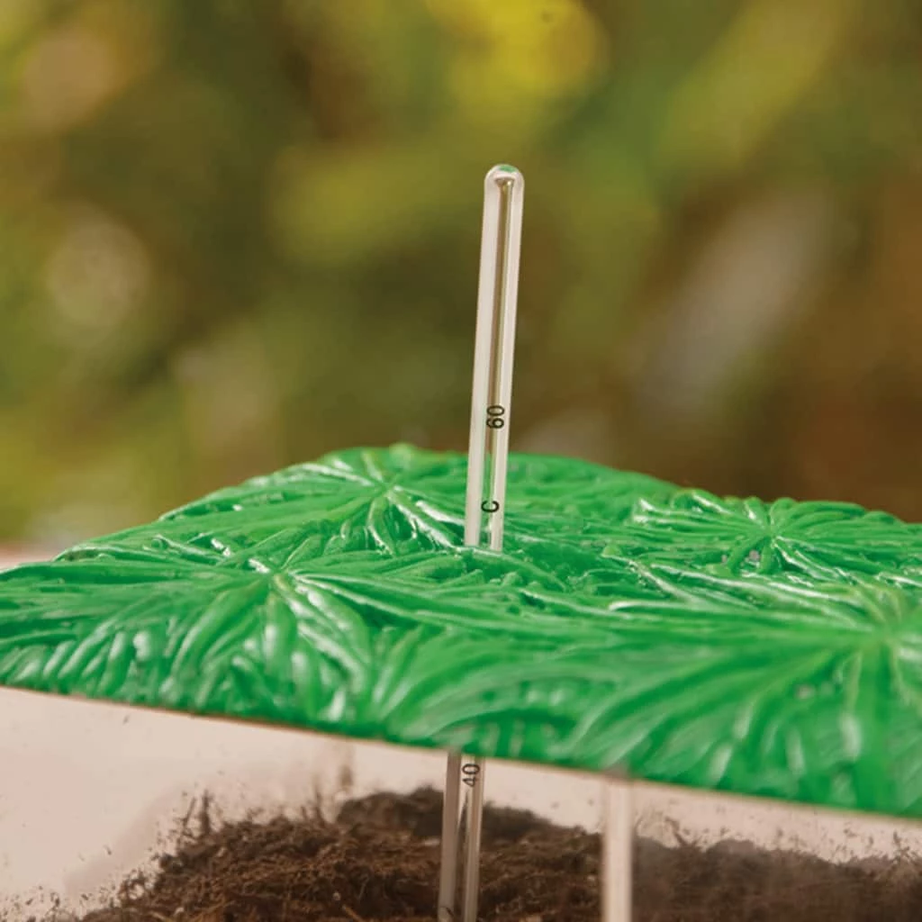 Deals π― Now You See It Now You Don't See - Through Compost Container by EDUCATIONAL INSIGHTS π - Image 3