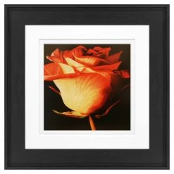 Buy 💯 Timeless Frames® Orange Rose Black Framed Wall Art 😀
