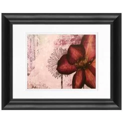 Coupon 😍 Timeless Frames® Pressed Flowers Framed Wall Décor ⌛