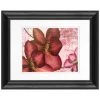 Best deal ❤️ Timeless Frames® Pressed Flowers I Framed Wall Décor ⌛