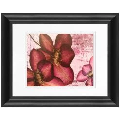 Best deal ❤️ Timeless Frames® Pressed Flowers I Framed Wall Décor ⌛