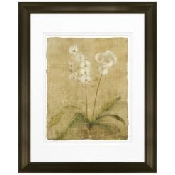 Discount 😍 Timeless Frames® Small Orchids Framed Print Wall Art 🔔