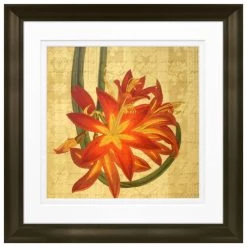 Budget 😉 Timeless Frames® Lovely Lillies Framed Print Wall Art 🔔