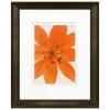 Promo 🎉 Timeless Frames® Tiger Lily in Bloom Framed Print Wall Art 👍