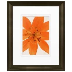 Promo 🎉 Timeless Frames® Tiger Lily in Bloom Framed Print Wall Art 👍