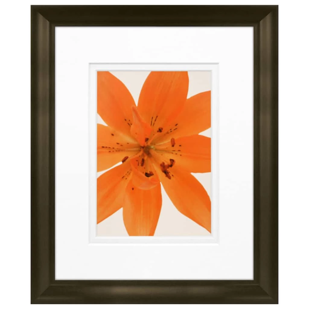 Promo π Timeless Frames® Tiger Lily in Bloom Framed Print Wall Art π