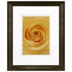 Deals 🥰 Timeless Frames® Rose in Bloom Framed Print Wall Art 💯
