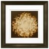 Wholesale 🔔 Timeless Frames® Chrysanthemum Framed Print Wall Art ⌛