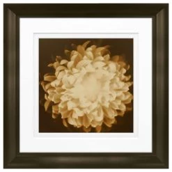 Wholesale 🔔 Timeless Frames® Chrysanthemum Framed Print Wall Art ⌛