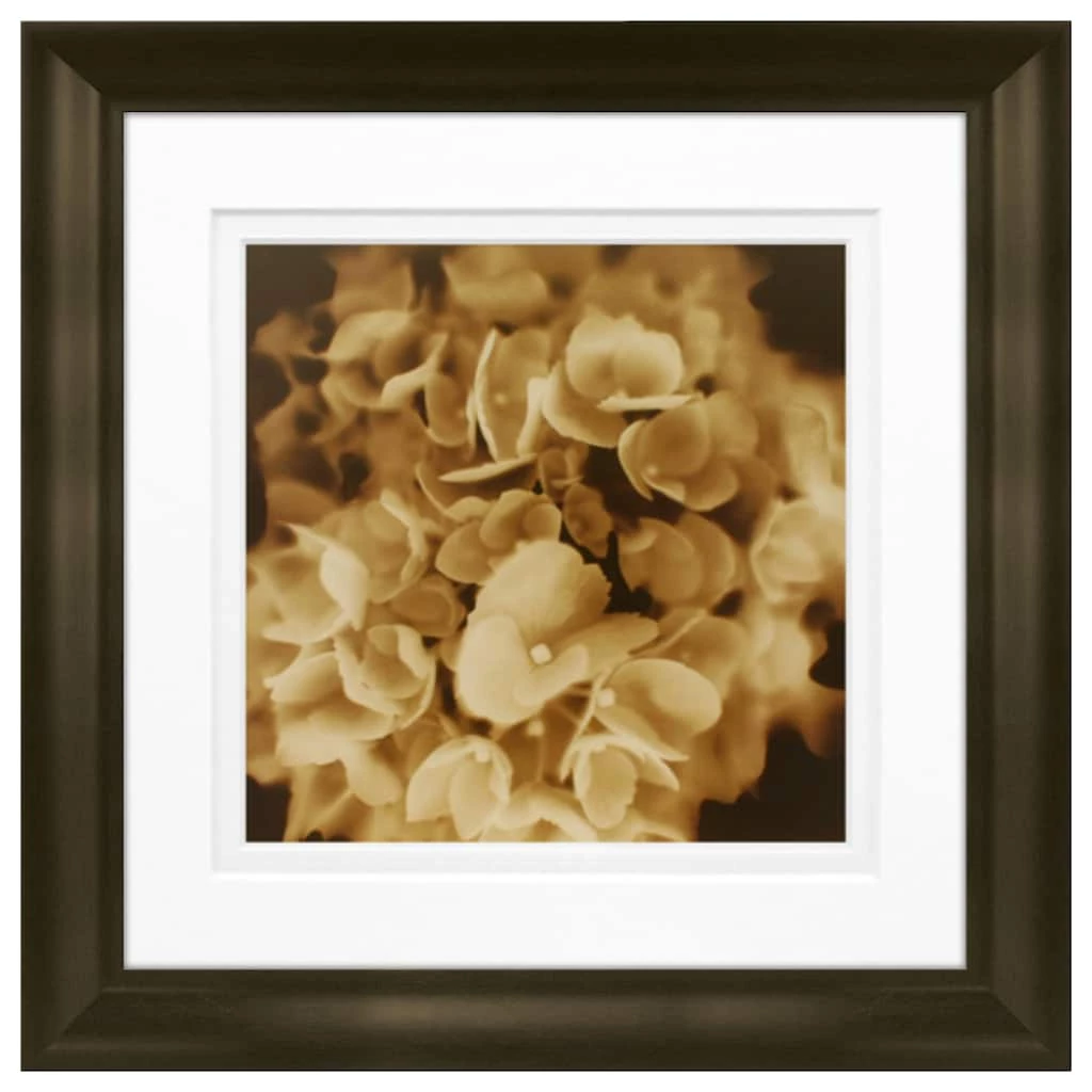 Top 10 🧨 Timeless Frames® Snowball Floral Framed Print Wall Art 🥰