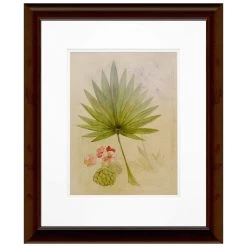 Best Pirce 👏 Timeless Frames® Botanical Journal Framed Wall Art ❤️