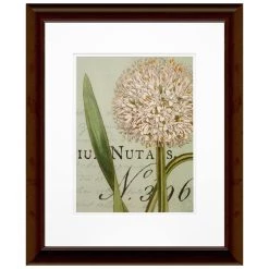 Best Sale 🎁 Timeless Frames® Botanique Blue II Framed Wall Art 👍