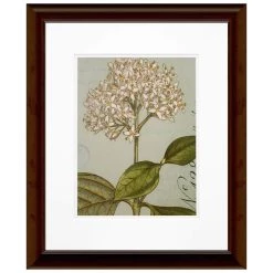 Deals ⭐ Timeless Frames® Botanique Blue IV Framed Wall Art 😍