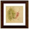 New 😉 Timeless Frames® Green & Red Palms Framed Wall Art ⭐