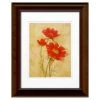 Hot Sale ⭐ Timeless Frames® Spicy Red Cosmos Framed Wall Art 👏