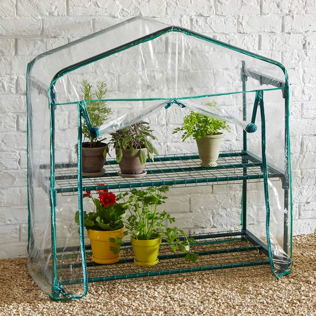Promo β¨ Educational Insights GreenThumb Classroom Greenhouse π